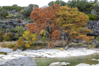 Perdenales River Nov 2019